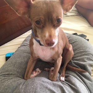 Meet your Posher, Deanna